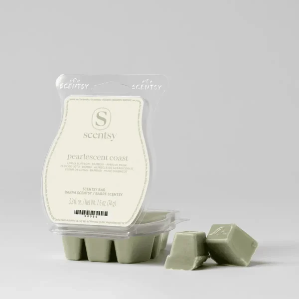 Pearlescent Coast Scentsy Wax Bar