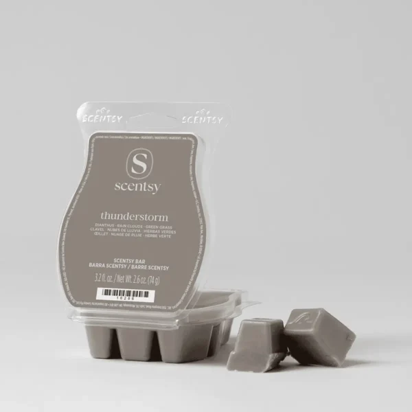 SCENTBarThunderstromPACKSHOTWaxR12026PWS_highres Thunderstorm Scentsy Bar