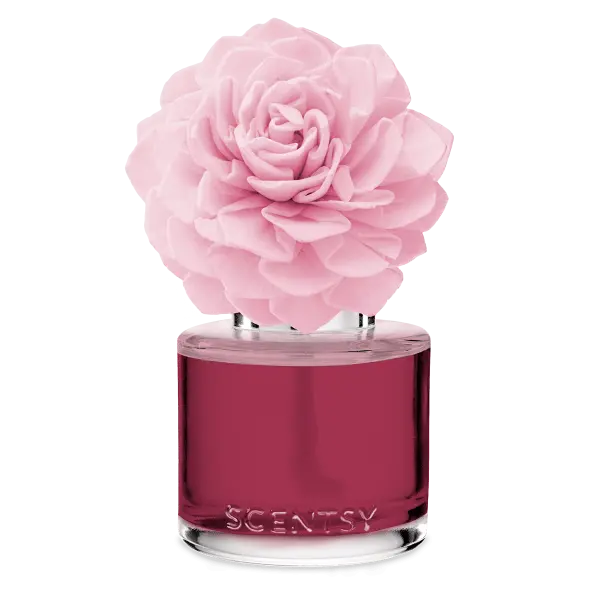 Sweetheart Sugar Cookie Scentsy Fragrance Flower | Valentine's Day 2025