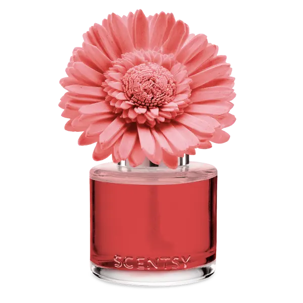 Scentfragranceflowerdaintydaisygloriousgrapefruitisoredrass25Pws Glorious Grapefruit Scentsy Fragrance Flower