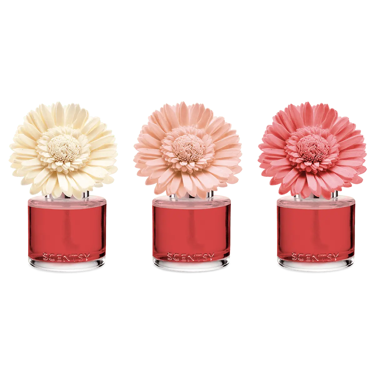 Glorious Grapefruit Scentsy Fragrance Flower