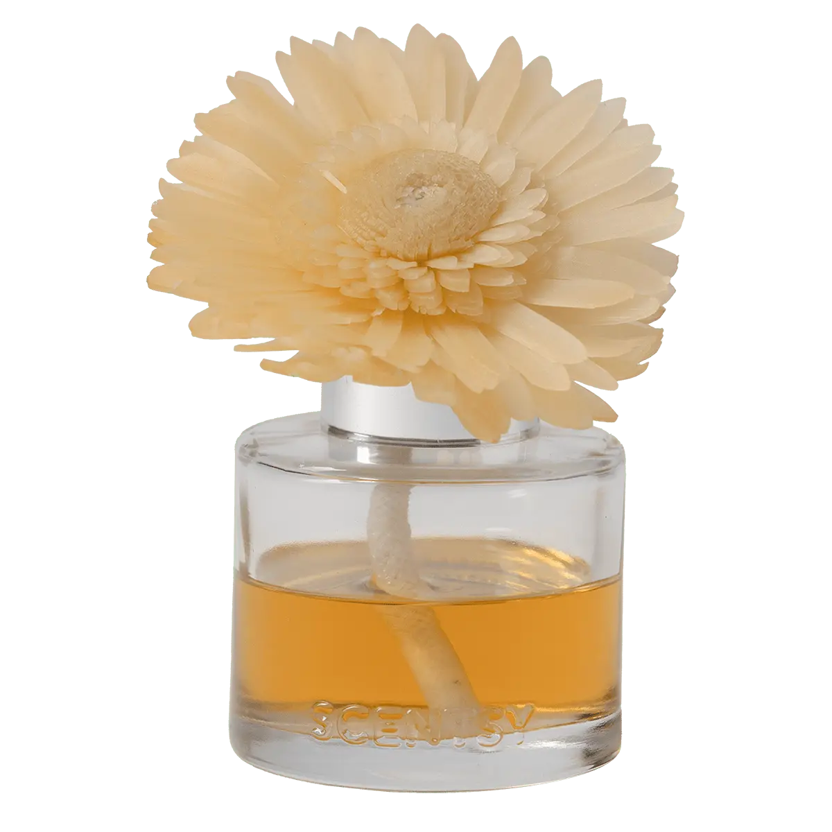 Golden Sunflower Fields Dainty Daisy Fragrance Flower