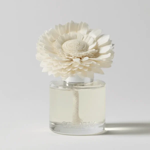 Cocoa Cashmere Dainty Daisy Scentsy Fragrance Flower