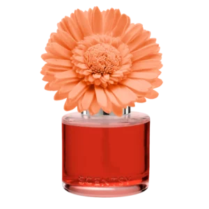 Peach Paradise Dainty Daisy Scentsy Fragrance Flower