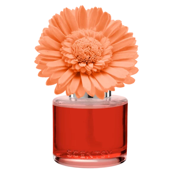 Peach Paradise Dainty Daisy Scentsy Fragrance Flower