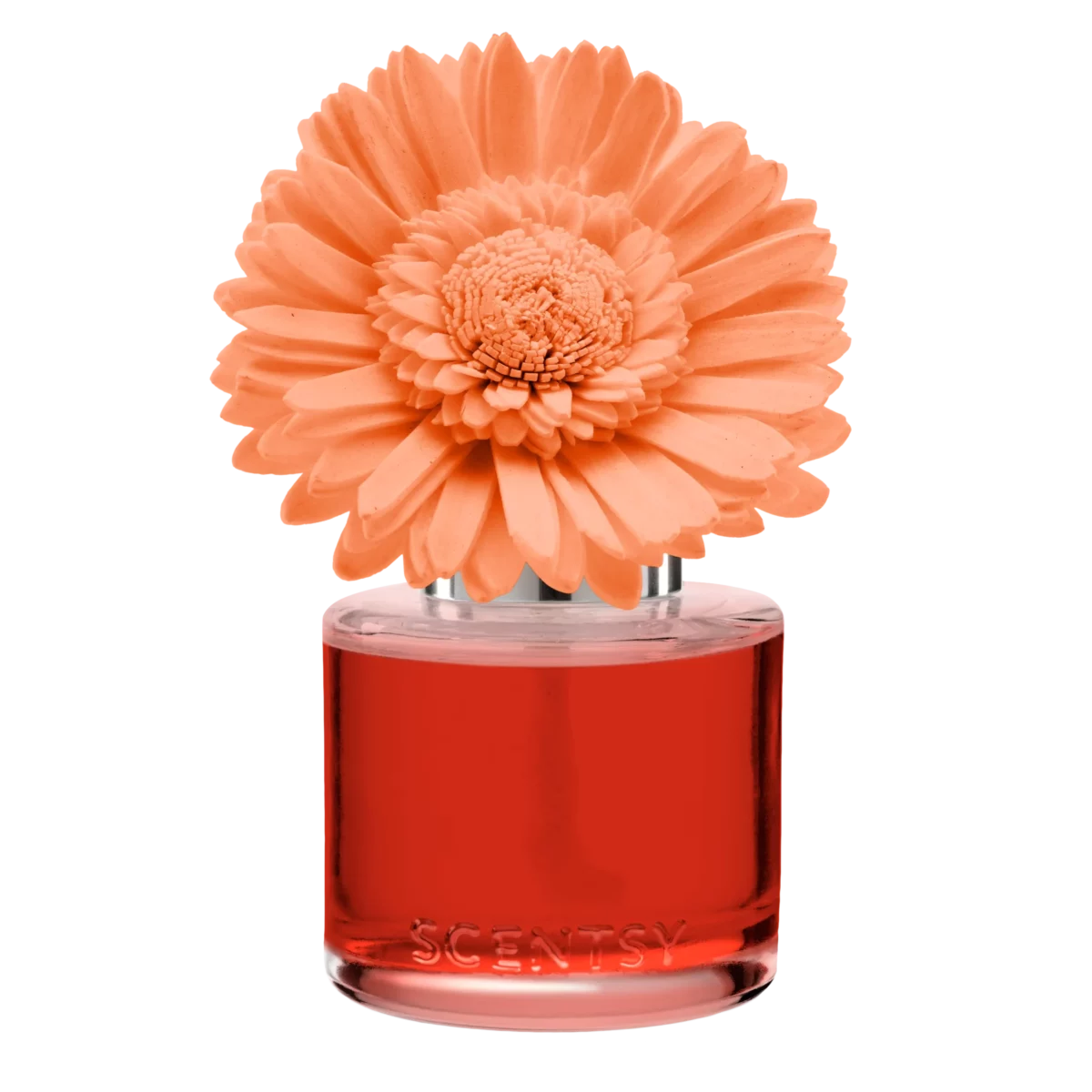 Peach Paradise Dainty Daisy Scentsy Fragrance Flower