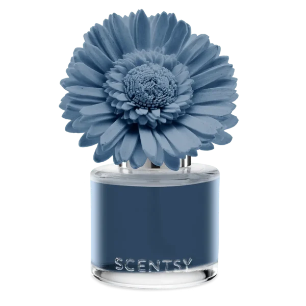 Scentfragranceflowerdaintydaisyquaintcountryrainisobluera2025Pws_Highres Quaint Country Rain Scentsy Fragrance Flower