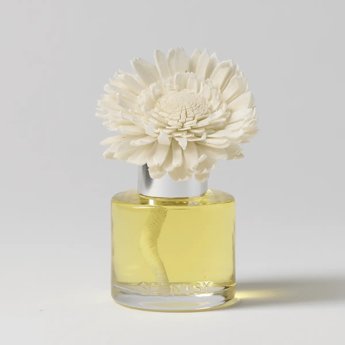Pomegranate & Poppy Dainty Daisy Scentsy Fragrance Flower