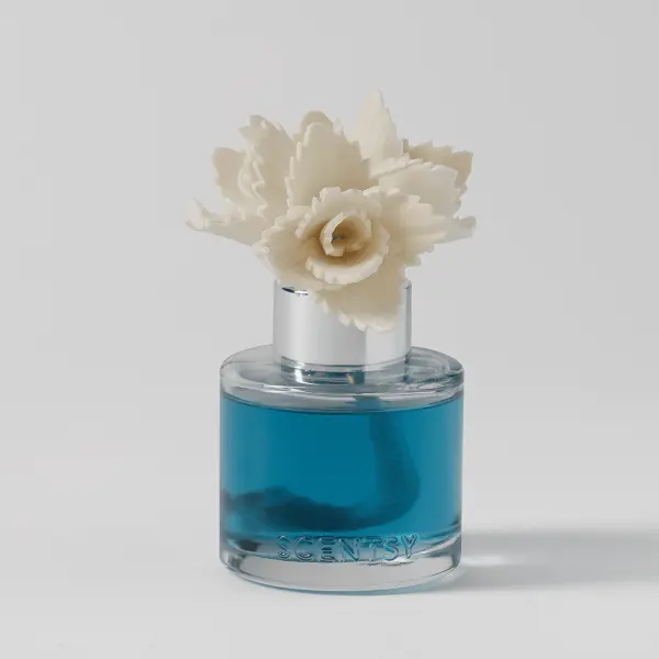 Serene Succulent – Elegant Echeveria Fragrance Flower