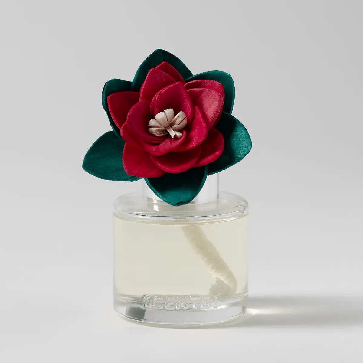 Blue Sage Balsam Scentsy Poinsettia Fragrance Flower - Holiday 2026