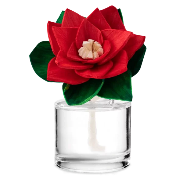 Candy Cane Buttercream Radiant Red Poinsettia Scentsy Fragrance Flower