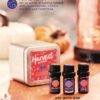 APPLE & CINNAMON STICKS SCENTSY HAND SOAP AND LOTION BUNDLE | Shop Scentsy | Incandescent.Scentsy.us
