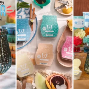 Cake Me to Paradise Scentsy Scent Circle 3 Pack