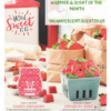 SCENTSY APRIL 2019 WARMER OF THE MONTH - STRAWBERRY BASKET