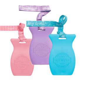Scentsy Car Bars | Scentsy Club Subscription