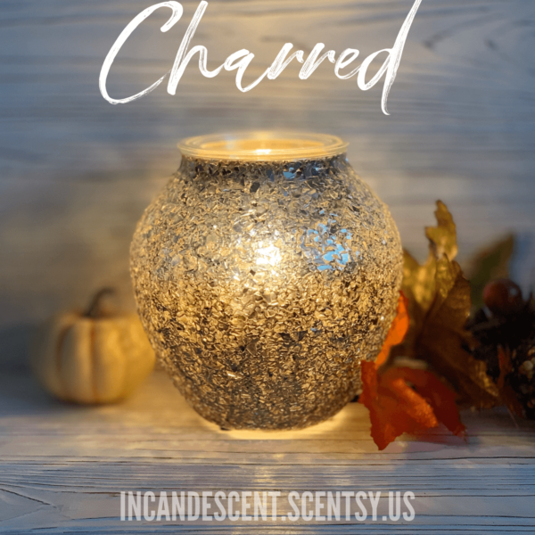 CHARRED SCENTSY WARMER