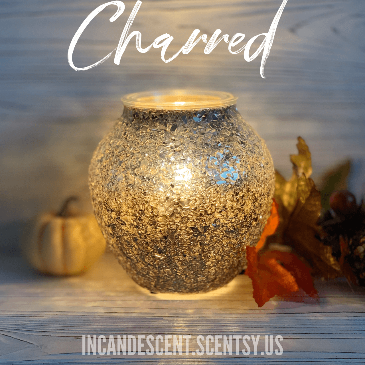 Charred Scentsy Warmer