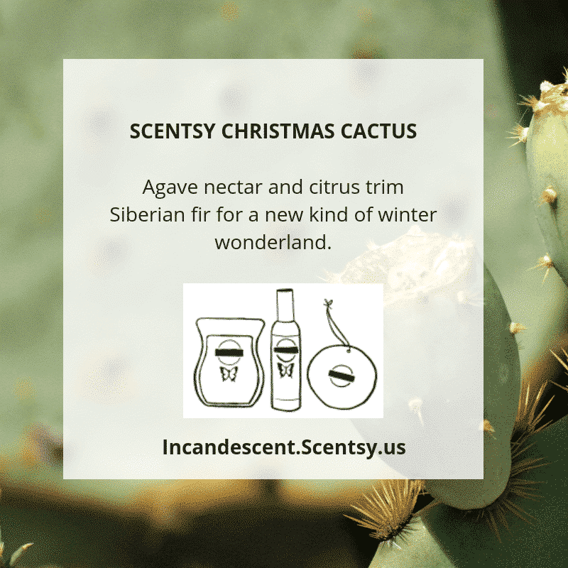 SCENTSY 2019 ScenTrend - Woods Fragrances