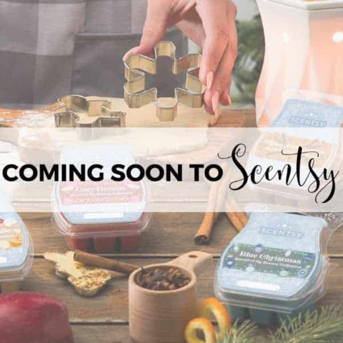 Coming Soon to Scentsy | November 2022 | Incandescent.Scentsy.us