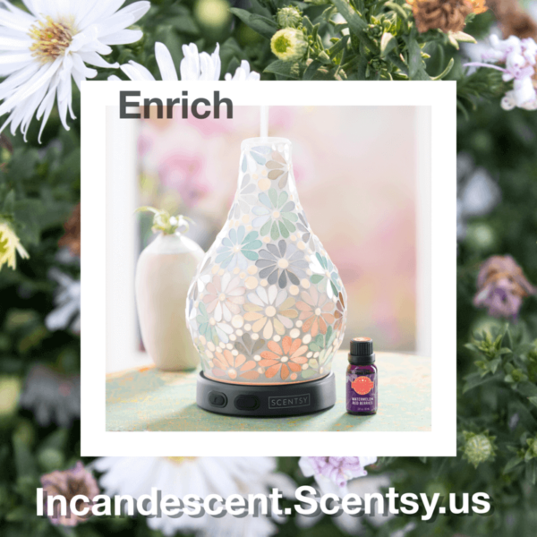 Enrich Scentsy Diffuser