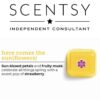 SCENTSY HERE COMES THE SUN FLOWER