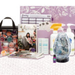 NOVEMBER 2018 SCENTSY STARTER KIT