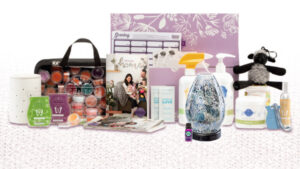 NOVEMBER 2018 SCENTSY STARTER KIT