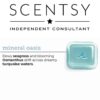 SCENTSY MINERAL OASIS