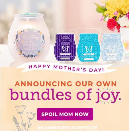 EVERYTHING I AM SCENTSY WARMER BUNDLE