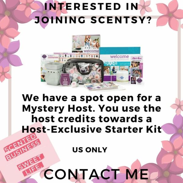 HOST EXCLUSIVE SCENTSY STARTER KIT JOIN SCENTSY MYSTERY HOST Shop