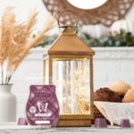 SCENTSY OCTOBER 2020 WARMER OF THE MONTH GLIMMER AND GLOW