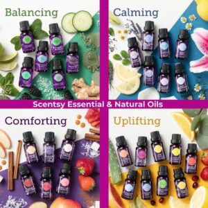 SCENTSY OILS INCANDESCENT