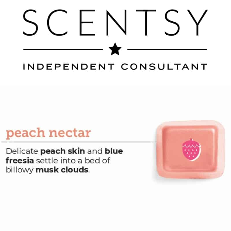 SCENTSY PEACH NECTAR-