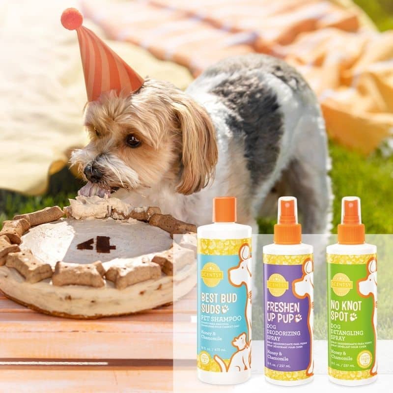 Scentsy® Online Store Scentsy Warmers & Scents Incandescent.Scentsy.us