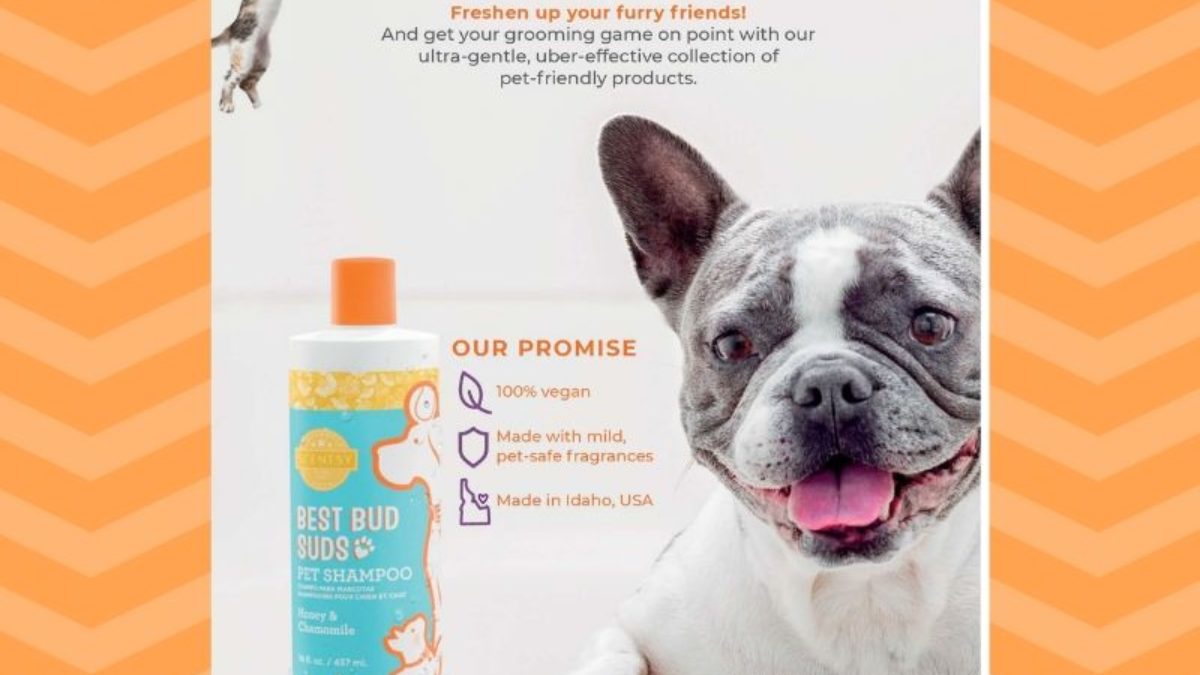 Are Shampoo Scents Bad For Dogs