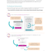 SCENTSY CONSULTANT REINSTATEMENT INFO | JOIN SCENTSY FOR FREE | Shop Scentsy | Incandescent.Scentsy.us