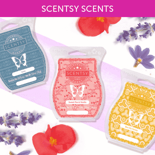 Order Scentsy Wax Melts, Authentic Scentsy Bars, Shop Scentsy