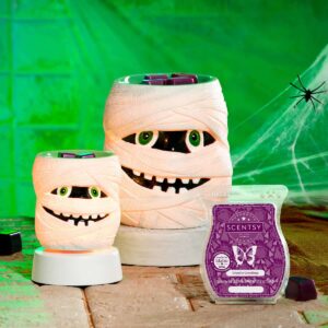 SCENTSY AUGUST 2020 WARMER & SCENT OF THE MONTH - BLESS THIS HOME WARMER & ALOE VERA AND IVY