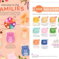 SCENTSY SPRING SUMMER 2019 CATALOG 13