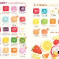 SCENTSY SPRING SUMMER 2019 CATALOG 14