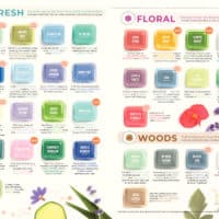 SCENTSY SPRING SUMMER 2019 CATALOG 15