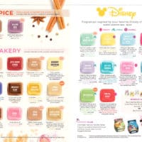 SCENTSY SPRING SUMMER 2019 CATALOG 16