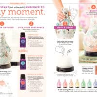 SCENTSY SPRING SUMMER 2019 CATALOG 21