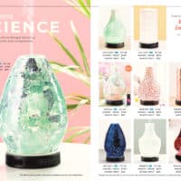 SCENTSY SPRING SUMMER 2019 CATALOG 22