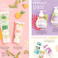 SCENTSY SPRING SUMMER 2019 CATALOG 26