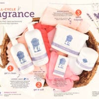 SCENTSY SPRING SUMMER 2019 CATALOG 27