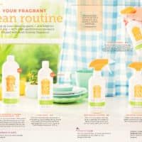 SCENTSY SPRING SUMMER 2019 CATALOG 28