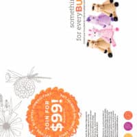 SCENTSY SPRING SUMMER 2019 CATALOG SLIDESHOW