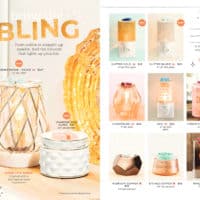 SCENTSY SPRING SUMMER 2019 CATALOG 7