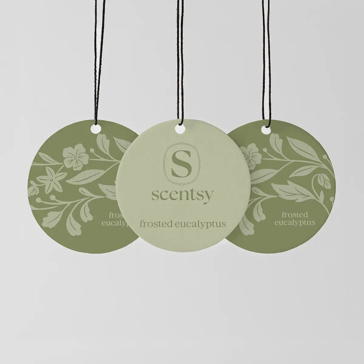 Frosted Eucalyptus Scentsy Scent Circle 3 Pack